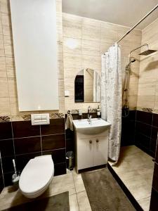 ein Bad mit einem WC, einem Waschbecken und einer Dusche in der Unterkunft Klimatyczne mieszkanie w centrum Giżycka in Giżycko