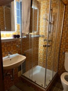 a bathroom with a shower and a sink and a toilet at Moonlight Appartements in Söll
