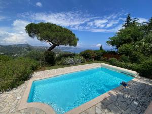 ein Pool im Garten mit einem Baum in der Unterkunft L'aurore in Sainte-Maxime