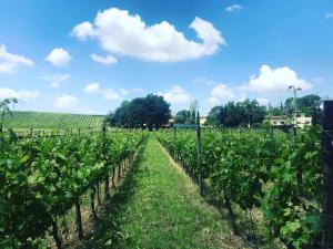 A garden outside Borgo del Gelso
