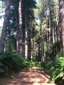 Фотография из галереи Keepers Cabin - Hot tub в городе Кингс-Линн