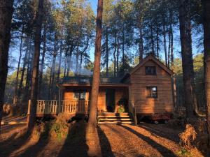 a log cabin in the middle of a forest at Keepers Cabin - Hot tub in Kings Lynn