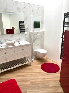La salle de bains est pourvue d'un lavabo, de toilettes et d'un miroir. dans l'établissement COSY T3 Centre Reims/Pkg Privé, à Reims