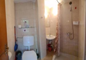 a bathroom with a toilet and a shower and a sink at STUDIO APARTMAN STARA BAŠKA in Stara Baška