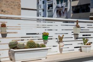 una fila di piante in vaso su un balcone di Casa Ginebras a Bari