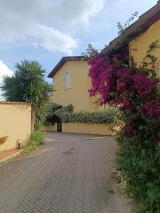 un edificio con fiori viola sul lato di A casa di Elly a Roma