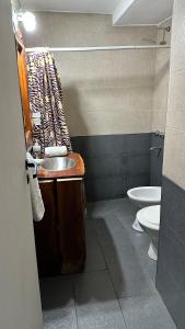 une salle de bain avec un lavabo et des toilettes dans l'établissement Ayres del Lago, à San Carlos de Bariloche