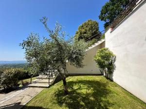 an apple tree in a yard next to a building at Vistalago in San Lorenzo Nuovo