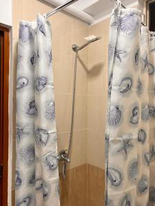 La salle de bains est pourvue d'une douche avec rideau de douche. dans l'établissement What's Up Tirana, à Tirana