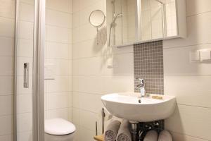 a bathroom with a sink and a toilet and a shower at Hopkas Remise in Lehde