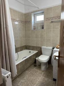 La salle de bains est pourvue d'une baignoire, de toilettes et d'un lavabo. dans l'établissement Gavrilis Apartments, à Nénita