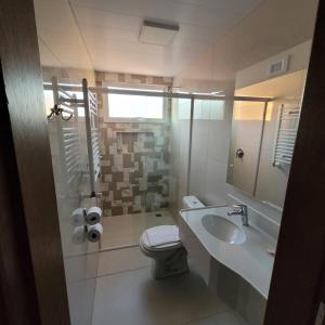 un baño con inodoro y lavabo en Pousada Rastro da Serra, en Bom Jardim da Serra