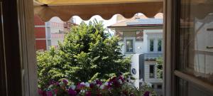Zahrada ubytování Hotel Canarco