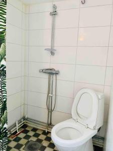 een badkamer met een toilet en een douche bij Bjurviks Villa - Flat 1 in Flen