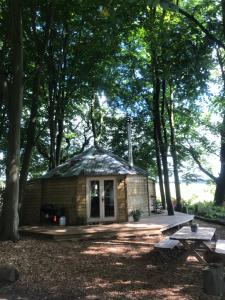 a small cabin in the woods with a picnic table at Woodpecker Cabin with Hot tub in Kings Lynn