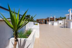 a palm tree sits on the roof of a building at Cesurlar Hotel in Çeşme