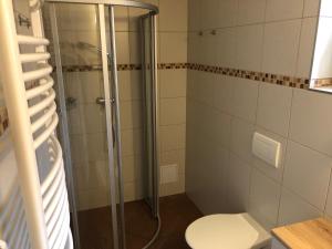 a bathroom with a toilet and a glass shower at Dům na jihu Valtice in Valtice