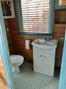 a bathroom with a white sink and a toilet at The Log Cabin in Wimborne Minster