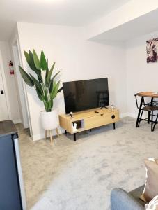 a living room with a television and a potted plant at Clementina Suite in Ottawa