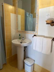a bathroom with a sink and a mirror and a toilet at Apartamentos Rurales El Pedregoso 