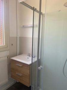 a bathroom with a sink and a shower at Le Billeron in Saint-Amand-Montrond
