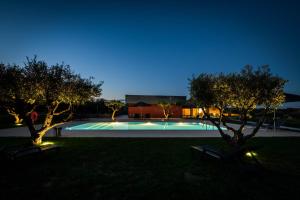 A piscina em ou perto de Quinta das Oliveiras Turismo Rural