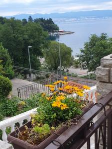 a group of flowers on a balcony overlooking the water at House Vali in Lovran