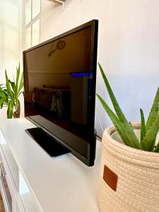 TV a/nebo společenská místnost v ubytování Danubio Beach - Playa del Inglés