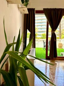 Zahrada ubytování Danubio Beach - Playa del Inglés