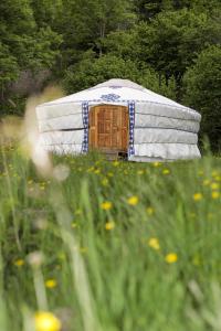 a yurt with a door in a field of flowers at La Yourte du Masfranc in Latour-de-Carol