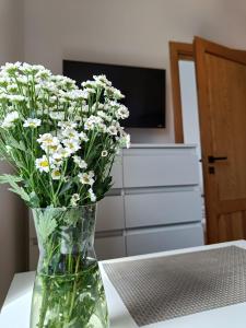 een vaas gevuld met witte bloemen zittend op een tafel bij Blues Rooms in Gdynia