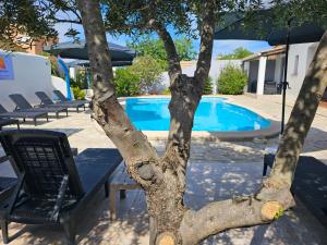 un tronc d'arbre à côté d'une piscine dans l'établissement La Casa del Arti - Chambres d'hôtes, à Sigean
