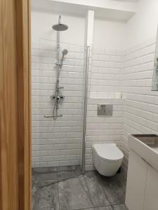 a white bathroom with a shower and a toilet at Blues Rooms in Gdynia