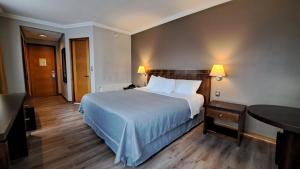 Postel nebo postele na pokoji v ubytování Hotel Diego de Almagro Coyhaique