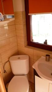 een kleine badkamer met een toilet en een wastafel bij Domek nad brzegiem jeziora Śniardwy z własnym pomostem, zejściem do wody i przecudnym widokiem na jezioro in Zdory
