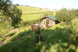 a small house in the middle of a field at Woolcombe Cabin in East Allington