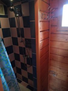 um chuveiro com uma porta de madeira na casa de banho em Chatky u Hromádky em Karlovice