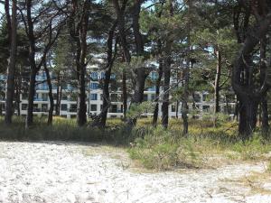 ビンツにあるHaus Aurum - Appartment Prora Novaの木々の浜辺