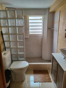 ein Bad mit einem WC, einer Dusche und einem Waschbecken in der Unterkunft Charmant studio à la campagne Sainte-Anne/Gosier en Guadeloupe in Sainte-Anne