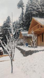 a house covered in snow with trees in the background at Deep In Woods in Jibhi