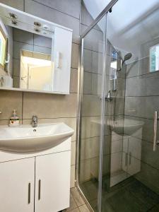 W łazience znajduje się umywalka i przeszklony prysznic. w obiekcie Hadam's Apartments w Bledzie