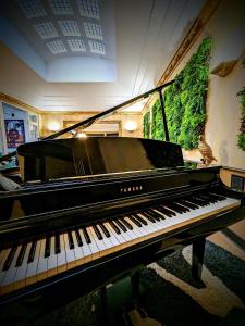 - un piano dans une pièce avec un oiseau assis dans l'établissement HOTEL ARVERNA VICHY - ClT'HOTEL, à Vichy