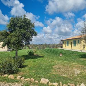 un patio con un árbol y una casa en Agriturismo Farfollíe, en Pescia Romana