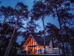 a house in the middle of some trees at night at Toad Hall in Grimston