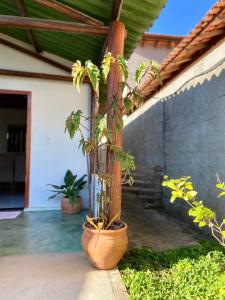 a potted plant sitting on the side of a house at Casa Jataí in Alto Paraíso de Goiás