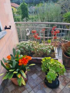 einen Garten mit Blumen und Pflanzen auf dem Balkon in der Unterkunft Appartamento per le vacanze ,, Villa Miky,, in Pairola