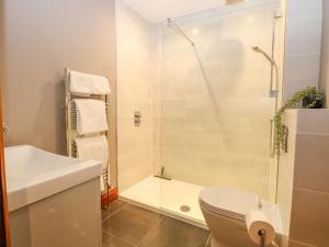 a bathroom with a shower and a toilet and a sink at Shorthorn Barn in Norwich +30 photos