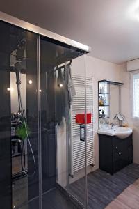 uma casa de banho com um chuveiro e um lavatório. em Plusieurs chambres à 20 km au sud de Paris em Ballainvilliers