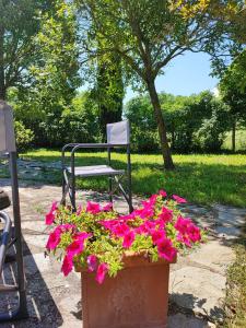 Zahrada ubytování Casa Vacanze "Dimora Quercia" - Villino "Quercia"