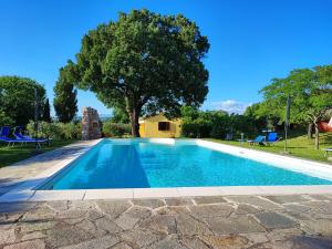 ein Schwimmbad mit einem Baum im Hintergrund in der Unterkunft Casa Vacanze "Dimora Quercia" - Appartamento "Quercia" in Montefalco